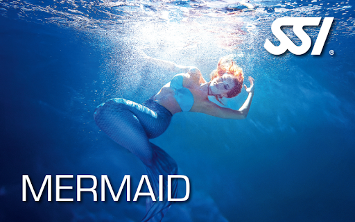 SSI Mermaid