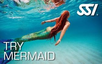 Try Mermaid