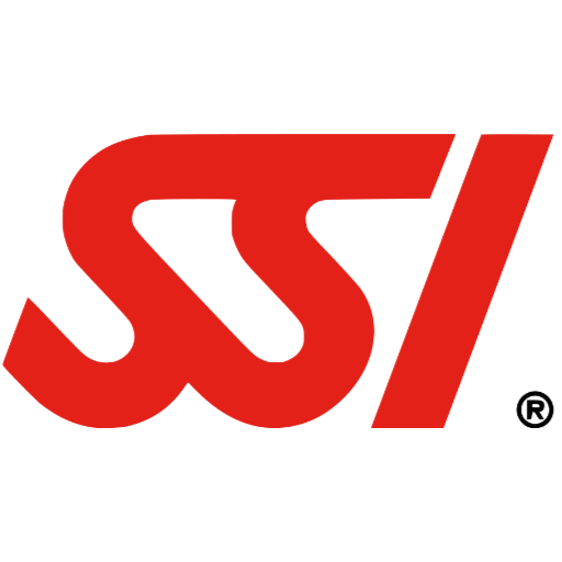 SSI International