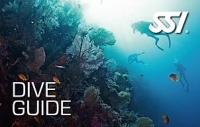 Dive Guide