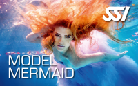 Model Mermaid