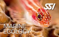 Specialty Instructor Marine Ecology