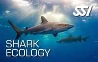 Specialty Instructor Shark Ecology